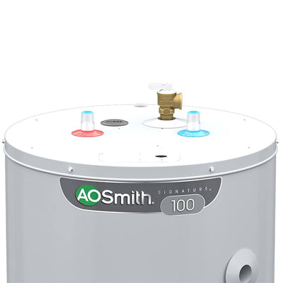 A.O. Smith Signature 100 50-Gallon Tall 6-Year Warranty 4500-Watt Double Element Electric Water Heater | E6-50H45D TTP