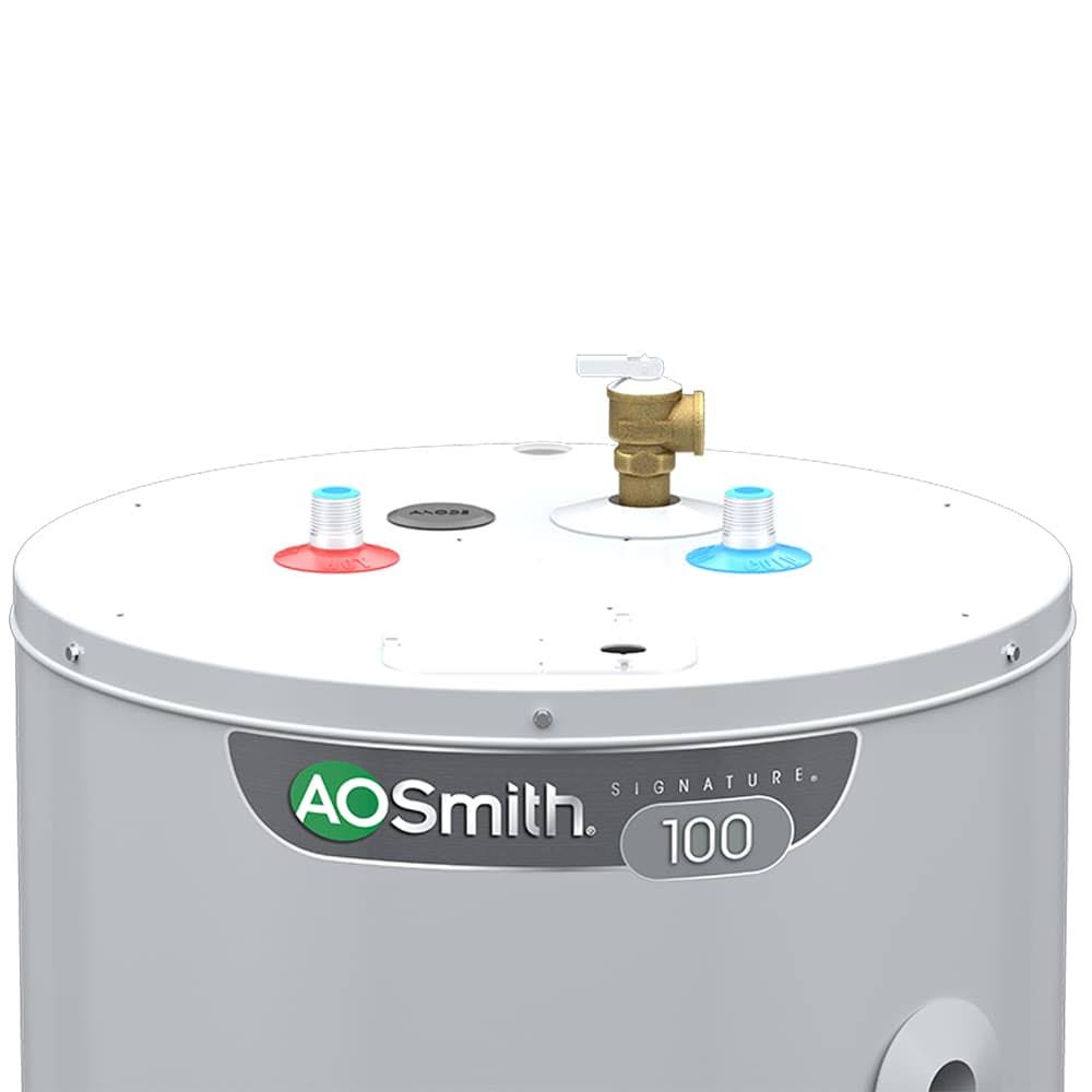 A.O. Smith Signature 100 40-Gallon Short 3800-Watt Double Element Electric Water Heater | E6-40R38D TTP